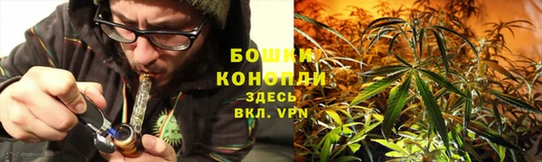 ПСИЛОЦИБИНОВЫЕ ГРИБЫ Армянск