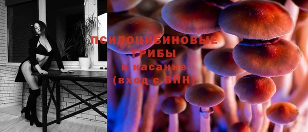 ПСИЛОЦИБИНОВЫЕ ГРИБЫ Армянск