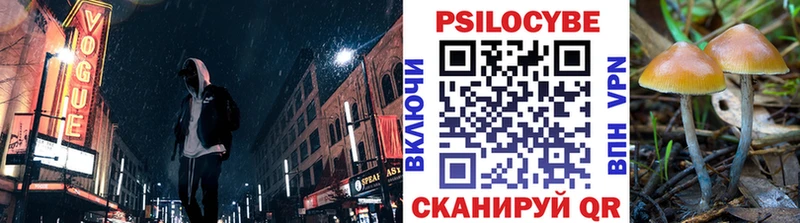 Псилоцибиновые грибы мухоморы  наркотики  Зима 